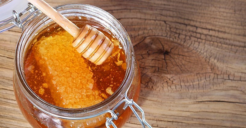  Honey Hemp Beach Bluff Swampscott MA